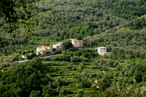 Costiolo